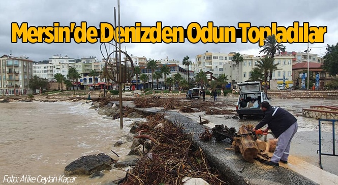 Mersin'de Vatandaşlar Selin Getirdiği Odunları Topladılar