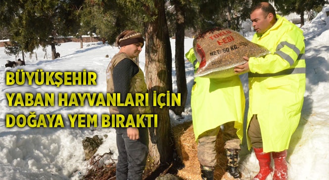 Büyükşehir, Yaban Hayvanları İçin Doğaya Yem Bıraktı