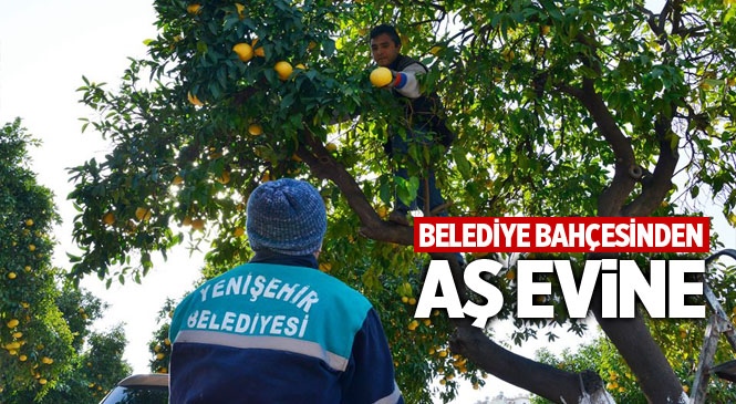 Belediye Bahçesinden Aşevine