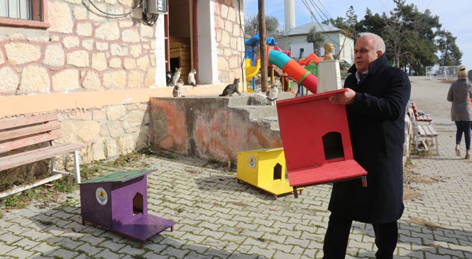 Mersin Erdemli'de Belediyeden "Kedi Evi Projesi"