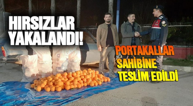 Mersin'in Merkez Akdeniz İlçesinde Bir Bahçeden Portakal Çalan 3 Zanlı Jandarma Ekiplerince Yakalandı