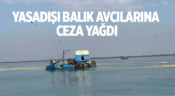 Mersin'de Yasadışı Balık Avına Ceza Yağdı