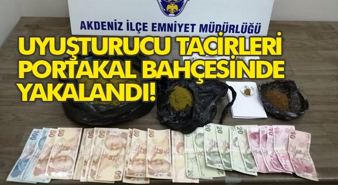 Uyuşturucu Satanlar Portakal Bahçesinde Yakalandı! Mersin'de Uyuşturucu Ticareti Yapan Şahıslara Göz Açtırılmıyor