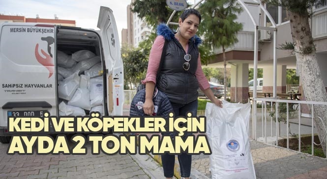Mersin'de Gönüllülere Kedi ve Köpekler İçin Ayda 2 Ton Mama Dağıtılıyor