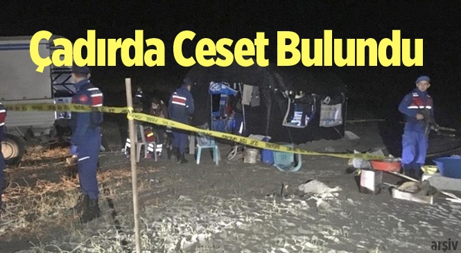 Arı Bekçisi Halil Öztürk'ün Cansız Bedeni Çadırda Bulundu