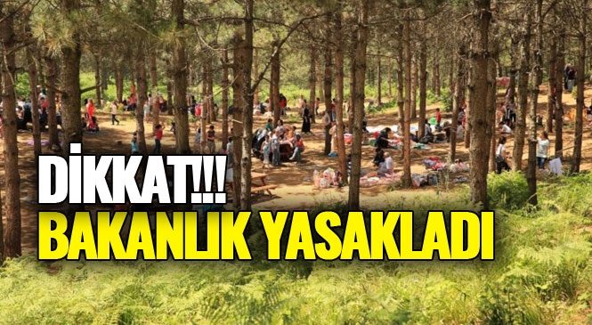 Bakanlıktan Yeni Önlem: Mangal ve Piknik Yasaklandı! Tarım Ve Orman Bakanlığı, Park Ve Mesire Alanlarında Mangal Ve Piknik Yapılmasını Yasakladı
