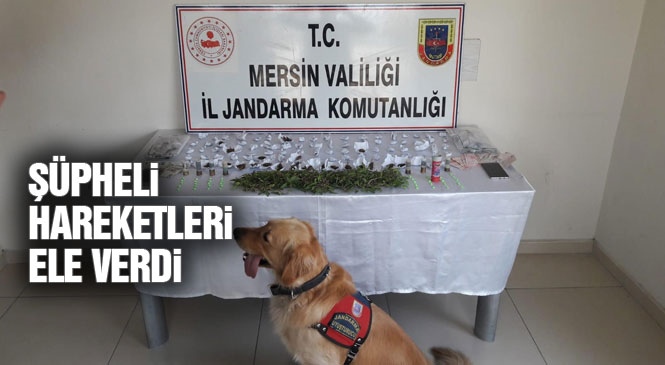 Mersin Tarsus'ta Jandarmadan Uyuşturucu Operasyonu: Yenice Mahallesinde Çalışmada 5 Kişi Gözaltına Alındı