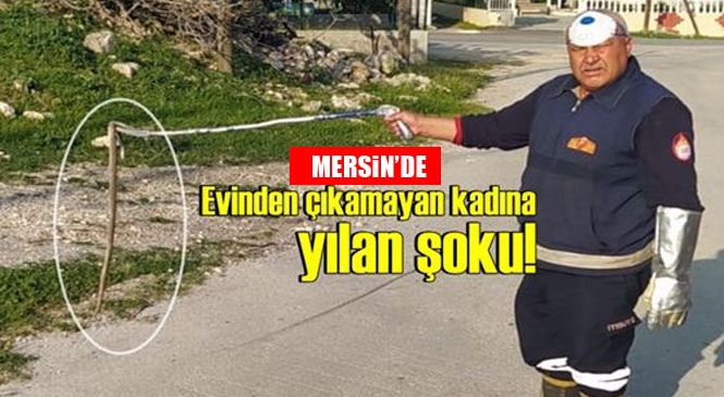 Mersin’in Tarsus İlçesi Bağlarbaşı Mahallesinde Koronavirüs Nedeniyle Evinden Çıkamayan Kadın, Evin İçerisine Giren Yılanla Şok Yaşadı