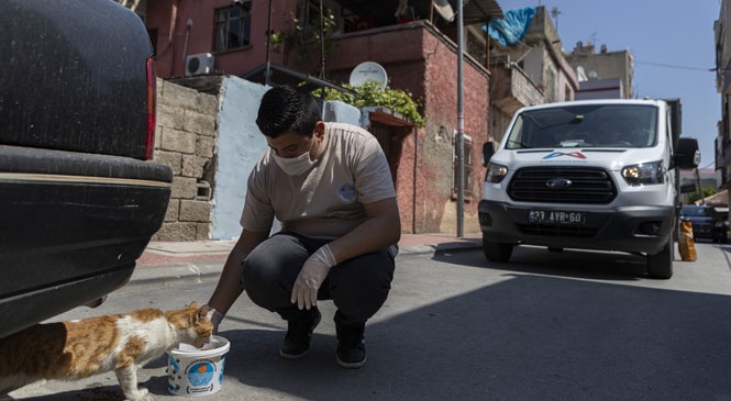 Mersin Büyükşehir, Yasak Süresince Hem Evlerindeki Vatandaşlar, Hem de Sokaklardaki Hayvanlar İçin Çalıştı