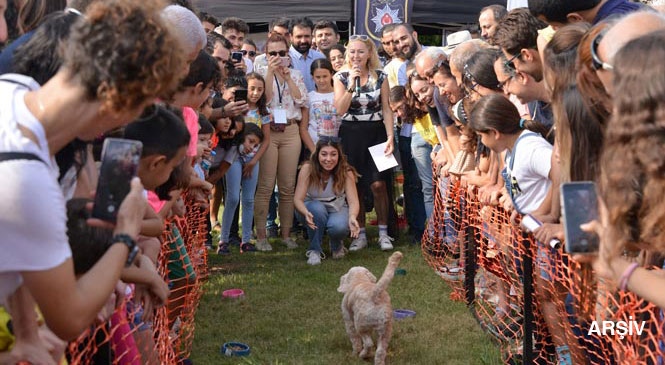 Mersin'de, Sokak Hayvanlarını Besleyecek Kişiler İçin Cuma Günü, Valilik Tarafından Duyurusu Yapıldı
