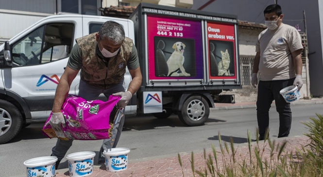 13 İlçede Mama Dağıtımı Yapan Mersin Büyükşehir Belediyesi Salgın Sürecinde 14 Bin 175 Kg Mama Dağıttı