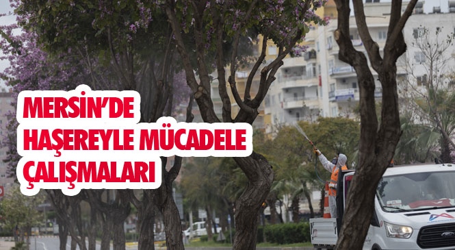 Yasak Sürecinde Mersin’in Boş Sokakları Dezenfekte Ediliyor! Haşereyle Mücadele Çalışmaları Aralıksız Sürüyor