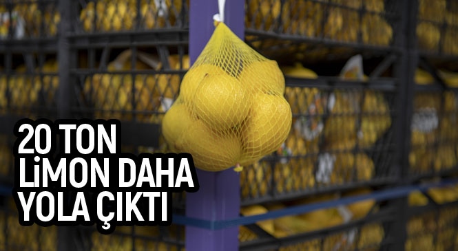İstanbul Büyükşehir’in Mersin’deki Üreticilerden Aldığı 100 Ton Limonun İkinci Partisi de Yola Çıktı! Ankara Büyükşehir de Mersin’den 50 Ton Limon Satın Alacak