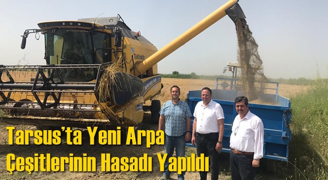 Tarsus’ta Yeni Arpa Çeşitlerinin Hasadı Yapıldı