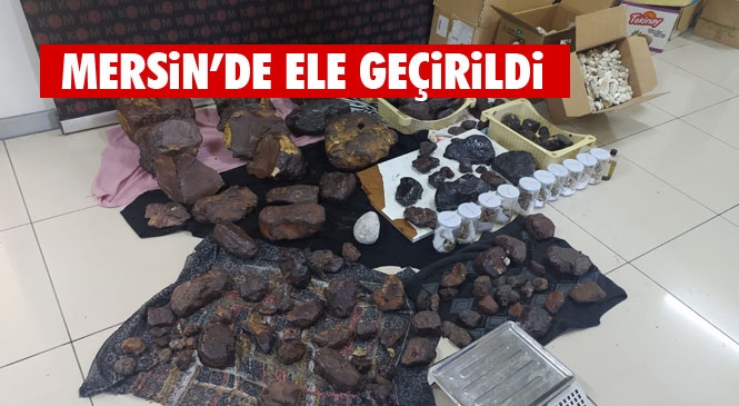 Mersin’de Değeri 11 Milyon TL Olan Toplam 145 Kilo Balina Kusmuğu Ele Geçirildi