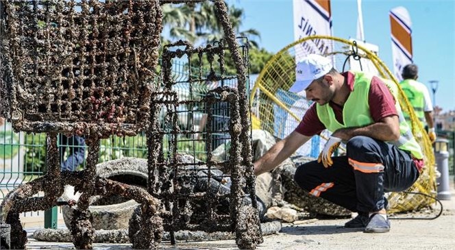 Mersin’de Balık Adamlar, Denizden Alışveriş Sepeti ve Sandalye Çıkardı! Büyükşehir Deniz Kirliliğine Dikkat Çekiyor