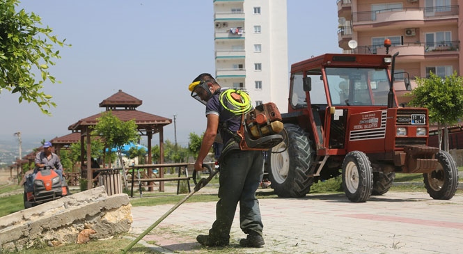 Erdemli Belediyesi’nden Çevre Düzenlemesi