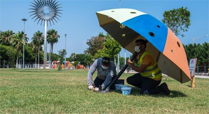 Mersin’de Kedi ve Köpekleri Güneşten Koruyan Şemsiyeler: Kültür Park’a Sokak Hayvanları İçin Şemsiye Yerleştirildi