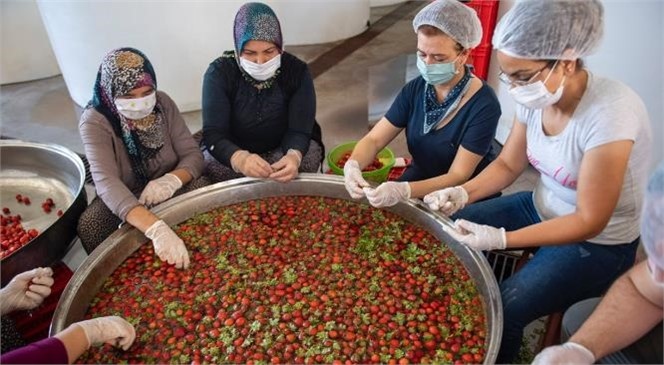 Kadın Kooperatifleri Hem Üreticiye Hem de Emekçiye Katkı Sunuyor