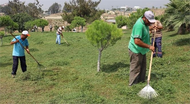 Daha Yeşil Bir Toroslar İçin Çalışmalar Sürüyor