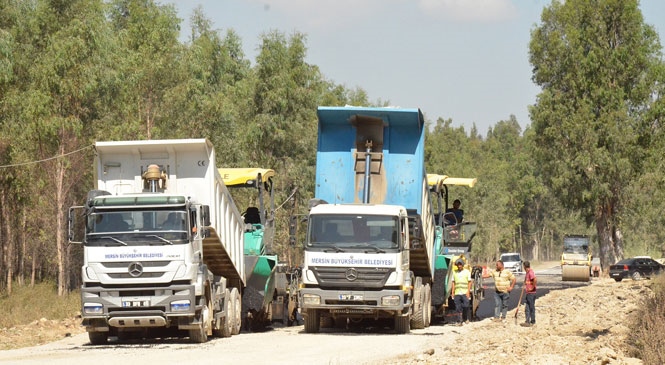 Mersin Tarsus'ta Bulunan Bataklık Alandaki Karabucak Orman Yolunda Güçlendirme ve Asfalt Çalışması