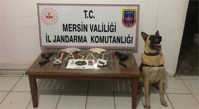 Mersin Erdemli'de Uyuşturucu Operasyonu