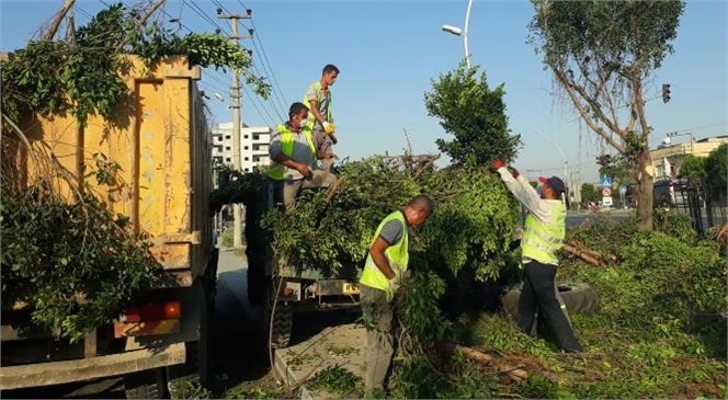 Büyükşehir Ekiplerinden Tarsus’un Dört Bir Noktasında Bakım Çalışması