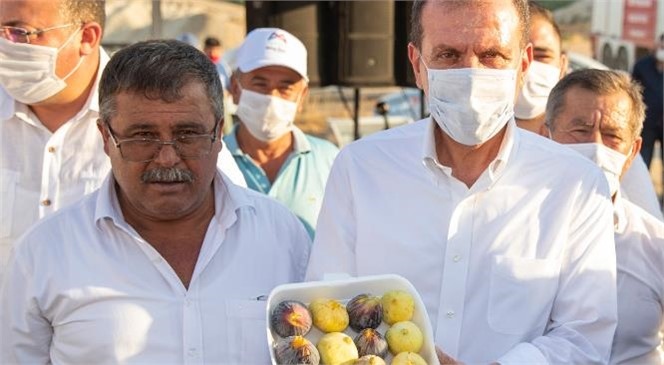 Başkan Seçer İncir Üreticilerine Verdiği Sözü Yerine Getirdi