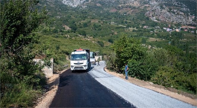 Mersinli Üreticinin Şeftalisi İç Anadolu’ya Artık Daha Hızlı Ulaşacak! Büyükşehir, Tepeköy Şeftalisine "İç Anadolu Kapısı" Açıyor