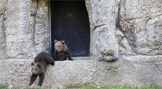 Doğa Parkı, Hijyen ve Temizlik İçin Pazartesi Günleri Ziyarete Kapatılacak! 28 Eylül’den İtibaren Her Pazartesi Doğa Parkı Kapalı Olacak