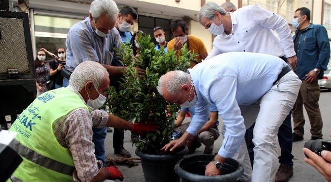 Akdeniz Belediye Ekipleri Tarafından Bulunduğu Yerden İndirilip Fidanlıkta Bakıma Alındı