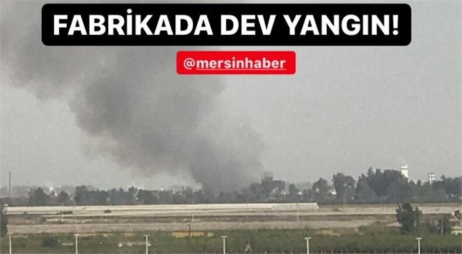 Mersin Tarsus - Yenice Arasındaki Bir Fabrikada Yangın Çıktı