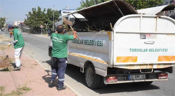 Toroslar'da Dip Köşe Temizlik Çalışması