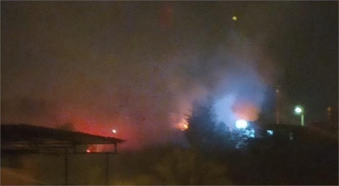 Mersin Tarsus Kent Merkezinde Bulunan Gözlükule Höyüğünde Gece Yarsısı Yangın Çıktı