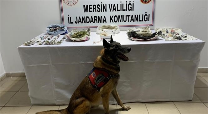 Mersin Tarsus'ta Jandarmadan Uyuşturucu Madde Temin Edilerek Satışı Yapılan İş Yerine Operasyon