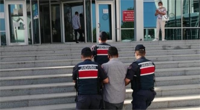 Mersin Tarsus'ta Jandarma 11 Hırsızlık Olayını Aydınlattı: Hırsız Tutuklandı
