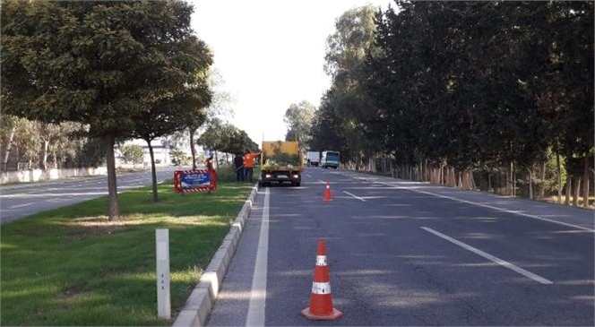 Büyükşehir, Tarsus’un Cadde ve Bulvarlarını Rengarenk Çiçeklerle Süslüyor