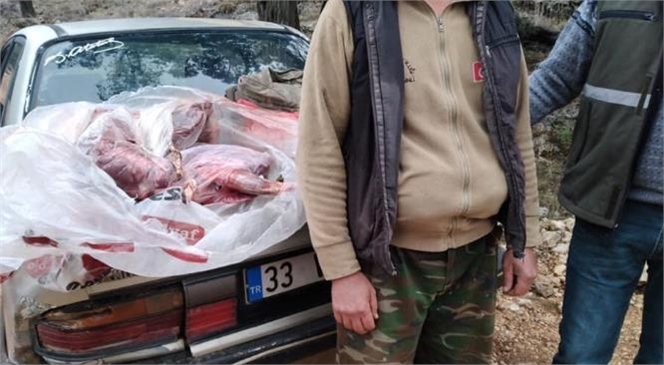 Mersin Erdemli’de Yasadışı Av Yapan ve Yaban Keçisini Vuran Avcılar Yakalandı; 31 Bin 236 Lira Para Cezası Kesildi