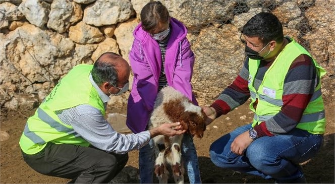 "Yörük Çocukları Üşümesin, Yüzleri Gülsün"