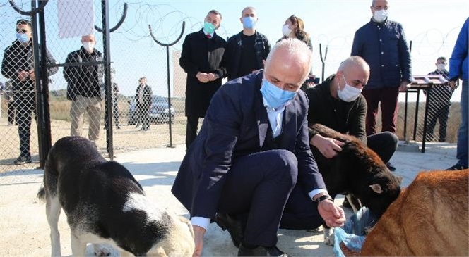 Akdeniz Belediyesi, Adanalıoğlu Sahilinde Yaşayan Sokak Hayvanları İçin Korunaklı Bir Alan Yarattı