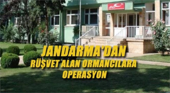 Tarsus'ta Jandarma'dan Rüşvet Alan Ormancılara Operasyon