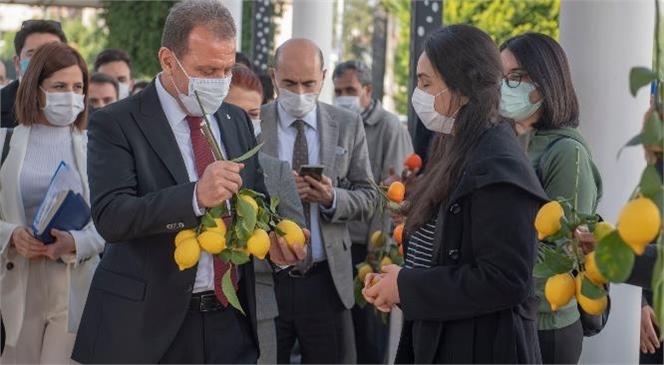 Başkan Seçer’den Mezitli Küçük Sanayi Sitesi Açıklaması: "Halka Rağmen Bir Şey Yapamazsınız"