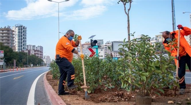 Mersin'de Hizmete Giren Katlı Kavşağın Peyzaj Düzenlemesi Sürüyor