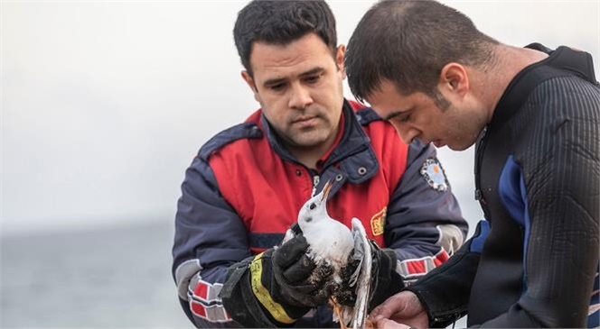 Mersin'de Ekipler, Hem Martıyı Hem de Martı İçin Gelen Tekneyi Kurtardı