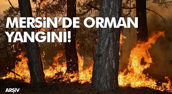 Mersin’in Anamur ve Gülnar İlçelerinde Çıkan Orman Yangınında 5 Hektarlık Alan Zarar Gördü