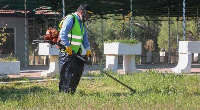 Mersin Erdemli'de Yaza Hazırlık! Bölgenin En Eski ve En Bilindik Yerlerinden Olan Erdemli Çamlığı Yaza Hazırlanıyor