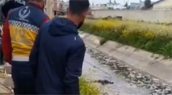 Mersin'de Ceset Bulundu! Akdeniz'deki TOKİ İnşaatında Çalışan İşçiler Suyun Kesik Olduğu Kanalda Ceset Buldu