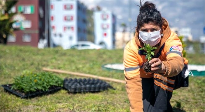 Mersin’e Bu Yıl 2 Milyon Mevsimlik Bitki Dikilmesi Planlanıyor