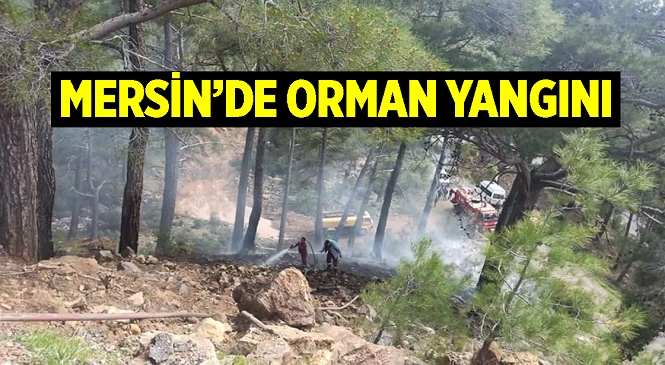 Mersin'de Ormanlık Alanda Başlayan Yangın Orman Bölge Müdürlüğü Ekipleri ve Vatandaşların Çabalarıyla Söndürüldü