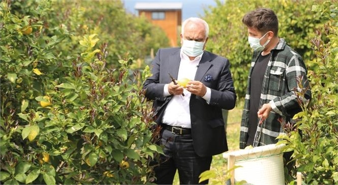 Güvenlik Görevlisiyken Dijital Dönüşüm Projesine Katılan Mersinli Çağrı Sağırlar, Pandemi Sürecinde Gösterdiği Başarıyla Görenlere Umut Oluyor